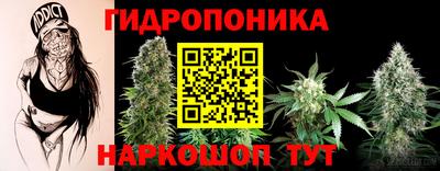 каннабис Новозыбков