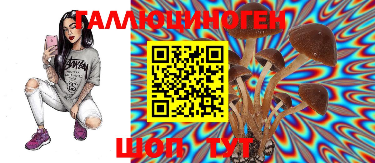 Галлюциногенные грибы мицелий  магазин продажи   Черкесск  Вход с VPN 